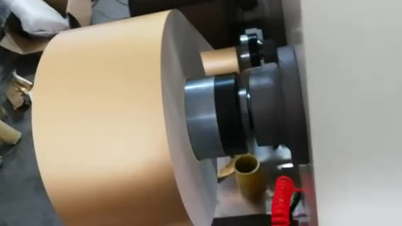 水松柢彩神（中国）